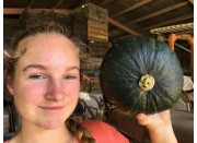 BUTTERCUP LARGE SIZE Grown in Northland